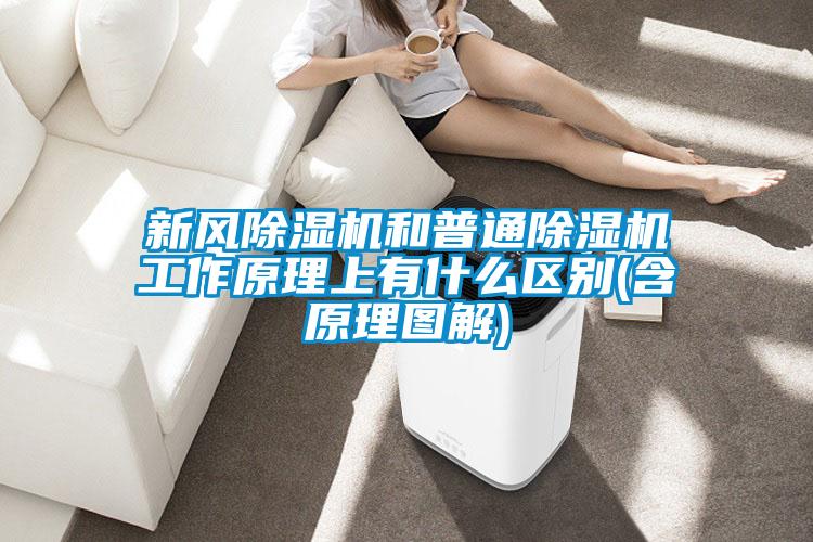 国产精品探花在线观看 新风除湿机和普通除湿机工作原理上有什么区别(含原理图解)