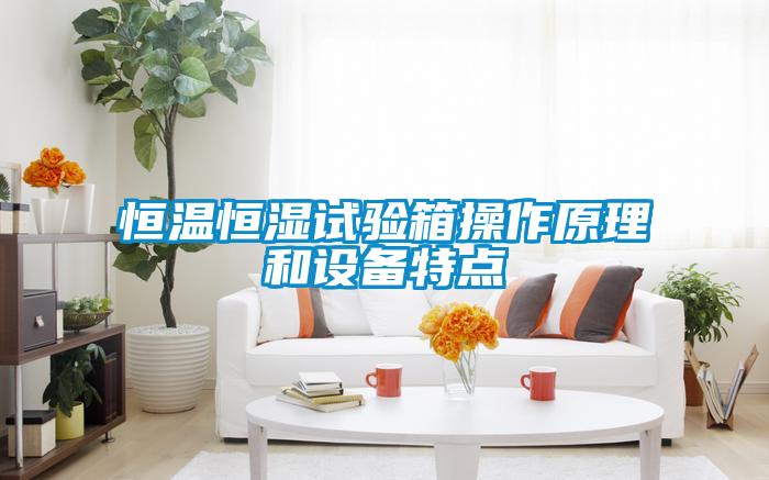 国产精品欧美激情视频 恒温恒湿试验箱操作原理和设备特点