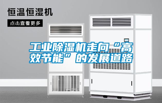国产精品探花在线观看 工业除湿机走向“高效节能”的发展道路