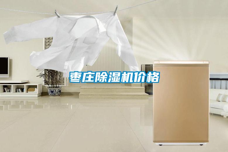 国产精品三级在线观看 枣庄除湿机价格