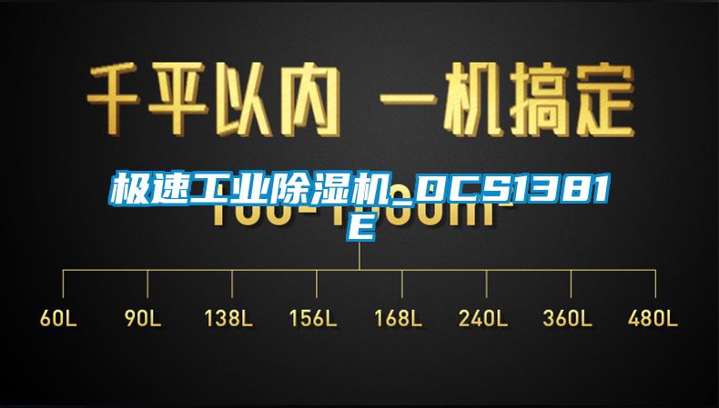 国产精品欧美激情视频 极速工业除湿机_DCS1381E