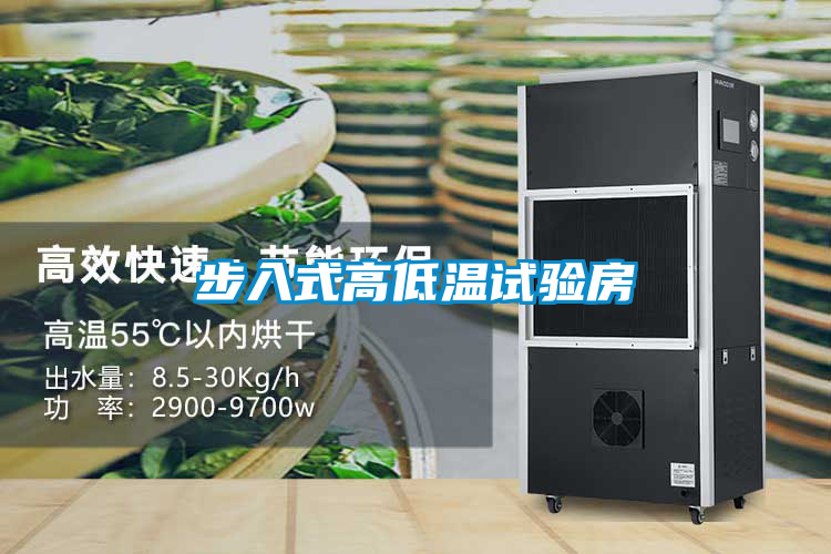 国产精品三级在线观看 步入式高低温试验房