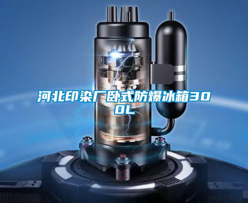 国产精品三级在线观看 河北印染厂卧式防爆冰箱300L