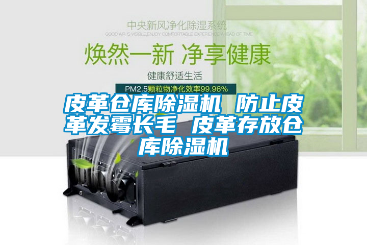 国产精品欧美激情视频 皮革仓库除湿机 防止皮革发霉长毛 皮革存放仓库除湿机