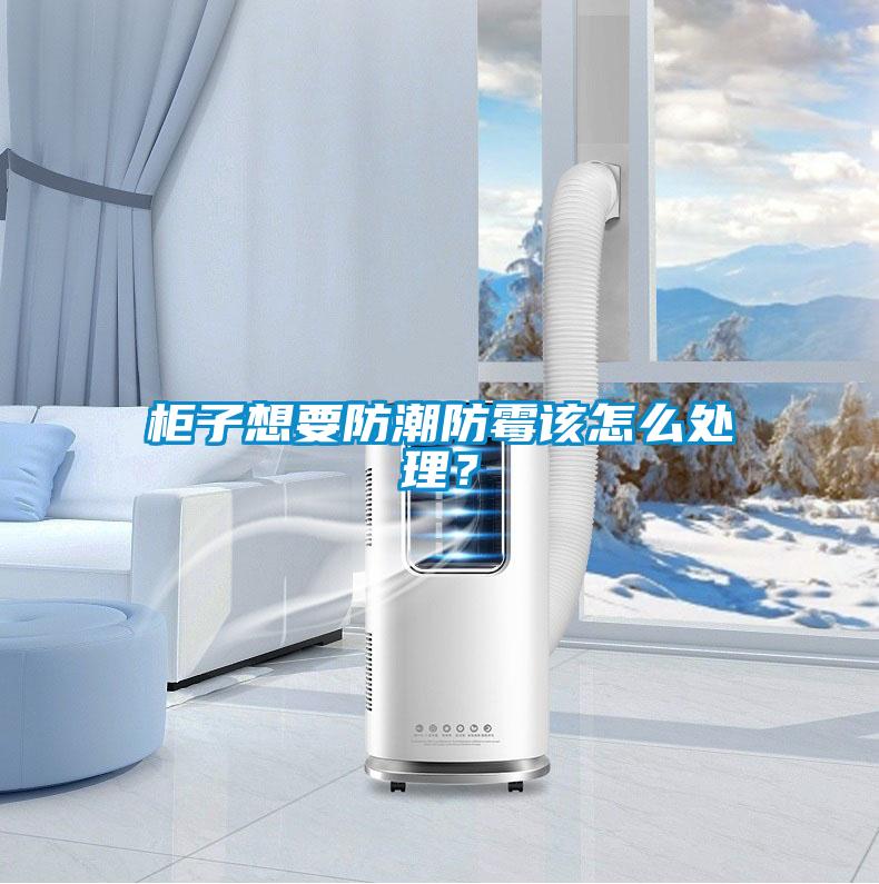 国产精品欧美激情视频 柜子想要防潮防霉该怎么处理？