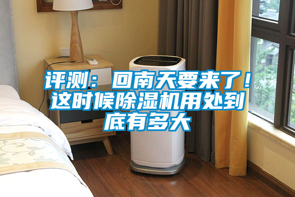 国产精品三级在线观看 评测：回南天要来了！这时候除湿机用处到底有多大
