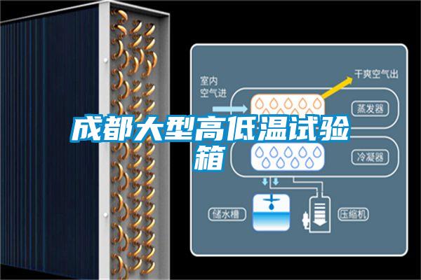 国产精品探花在线观看 成都大型高低温试验箱