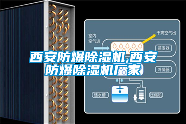 国产精品三级在线观看 西安防爆除湿机,西安防爆除湿机厂家