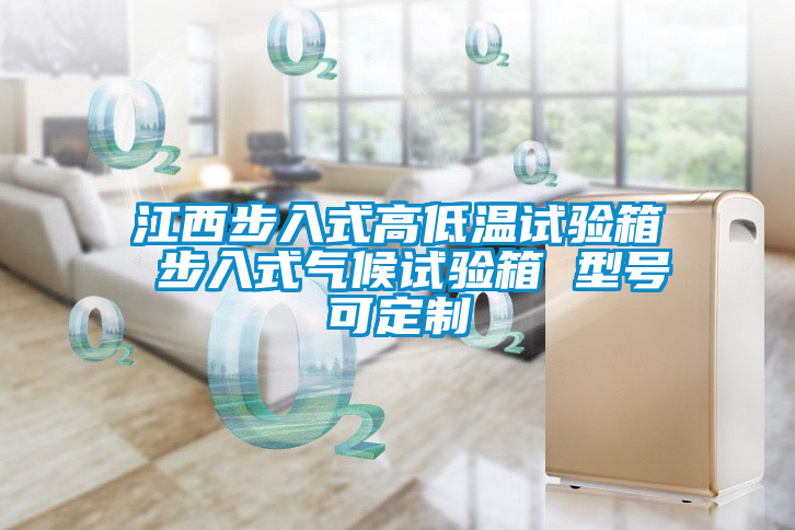 国产精品欧美激情视频 江西步入式高低温试验箱 步入式气候试验箱 型号可定制
