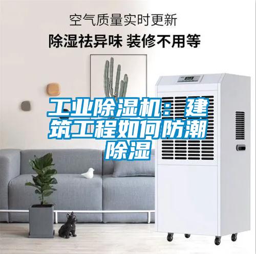 国产精品探花在线观看 工业除湿机：建筑工程如何防潮除湿
