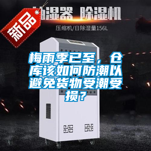 国产精品欧美激情视频 梅雨季已至，仓库该如何防潮以避免货物受潮受损？