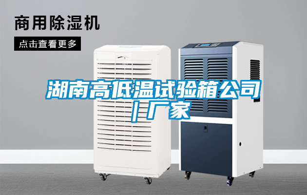 国产精品探花在线观看 湖南高低温试验箱公司｜厂家