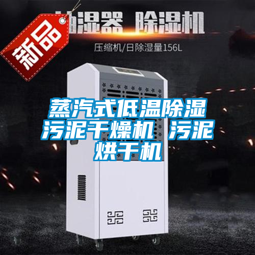 国产精品欧美激情视频 蒸汽式低温除湿污泥干燥机 污泥烘干机