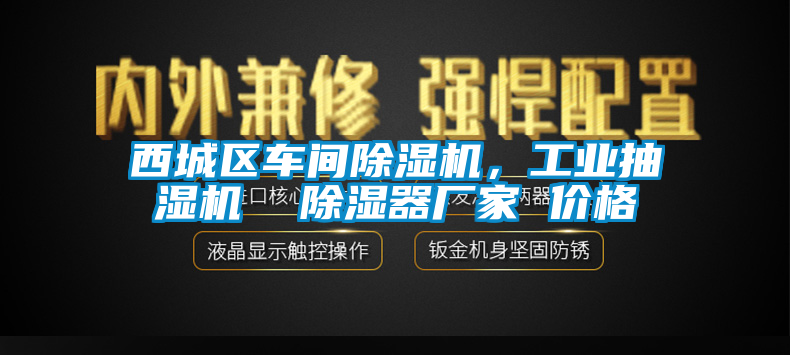 国产精品三级在线观看 西城区车间除湿机，工业抽湿机  除湿器厂家 价格