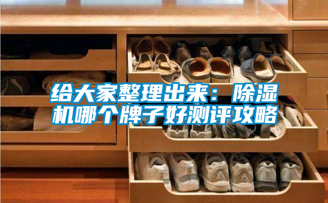 国产精品欧美激情视频 给大家整理出来：除湿机哪个牌子好测评攻略