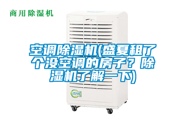 国产精品三级在线观看 空调除湿机(盛夏租了个没空调的房子？除湿机了解一下)