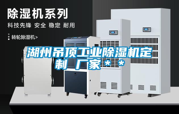 国产精品三级在线观看 湖州吊顶工业除湿机定制 厂家＊＊
