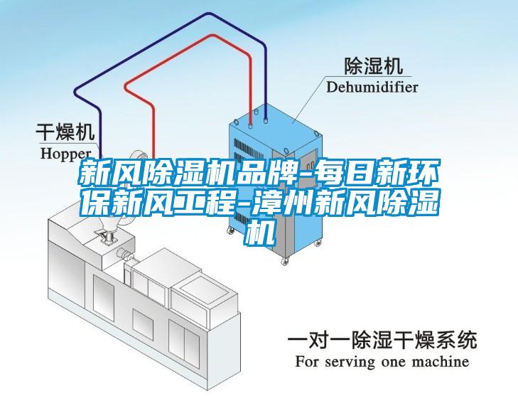 国产精品三级在线观看 新风除湿机品牌-每日新环保新风工程-漳州新风除湿机