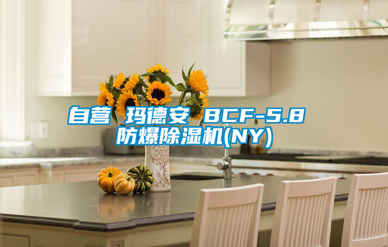 国产精品欧美激情视频 自营 玛德安 BCF-5.8 防爆除湿机(NY)
