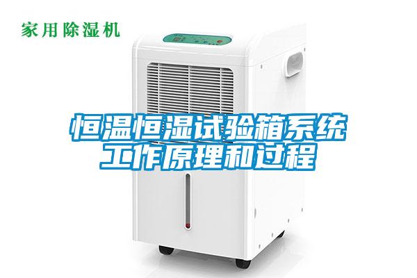 国产精品三级在线观看 恒温恒湿试验箱系统工作原理和过程