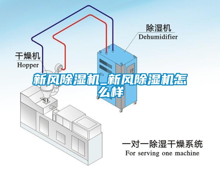 国产精品欧美激情视频 新风除湿机_新风除湿机怎么样
