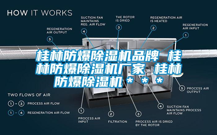 国产精品探花在线观看 桂林防爆除湿机品牌 桂林防爆除湿机厂家 桂林防爆除湿机＊＊＊