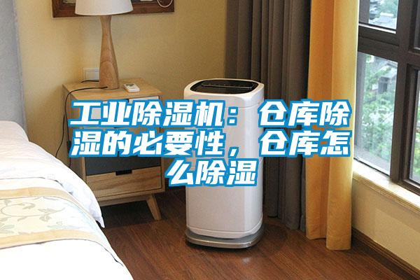 国产精品三级在线观看 工业除湿机：仓库除湿的必要性，仓库怎么除湿