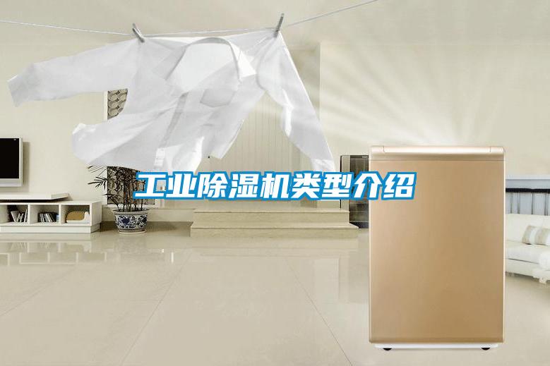 国产精品探花在线观看 工业除湿机类型介绍