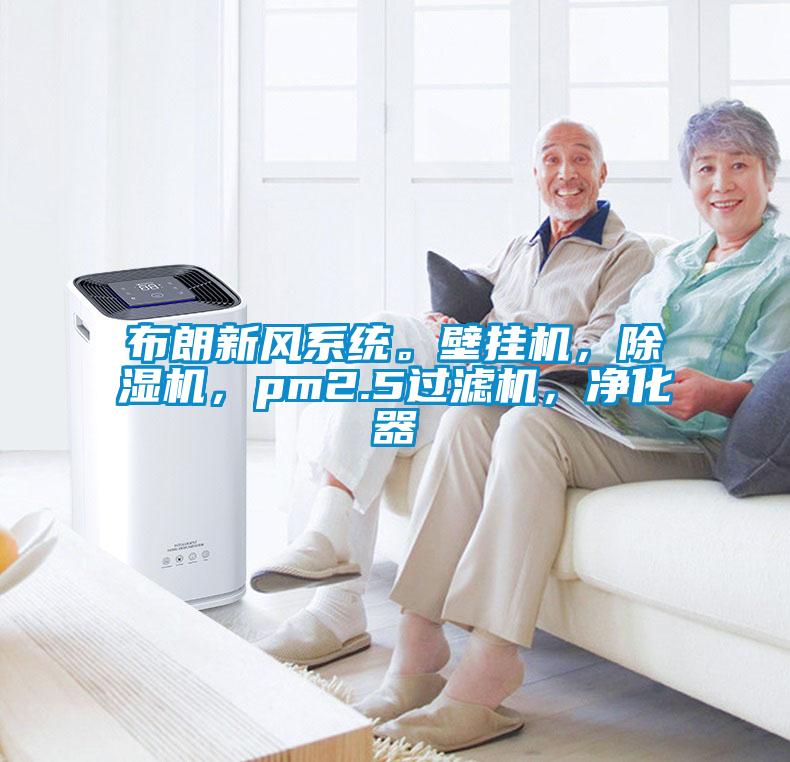 国产精品探花在线观看 布朗新风系统。壁挂机，除湿机，pm2.5过滤机，净化器