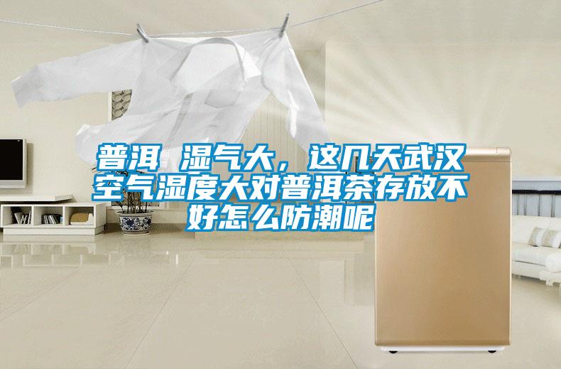 国产精品三级在线观看 普洱 湿气大，这几天武汉空气湿度大对普洱茶存放不好怎么防潮呢