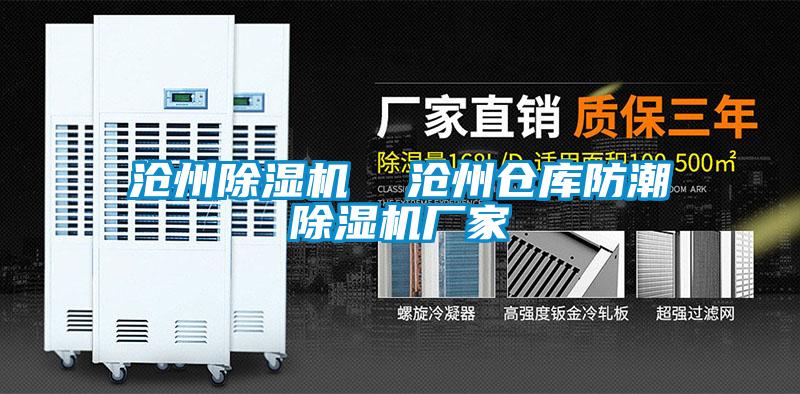 国产精品欧美激情视频 沧州除湿机  沧州仓库防潮除湿机厂家