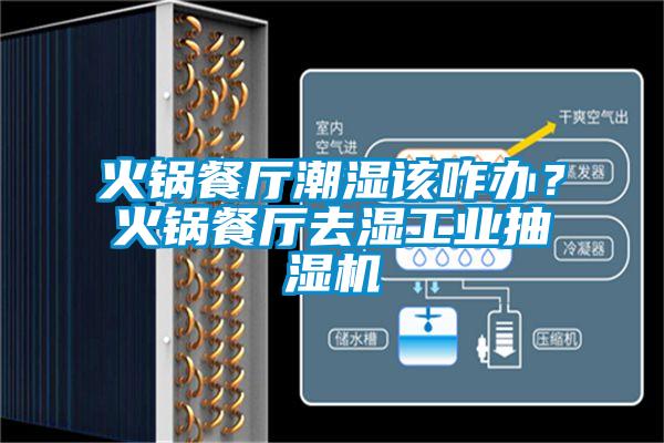 国产精品三级在线观看 火锅餐厅潮湿该咋办？火锅餐厅去湿工业抽湿机