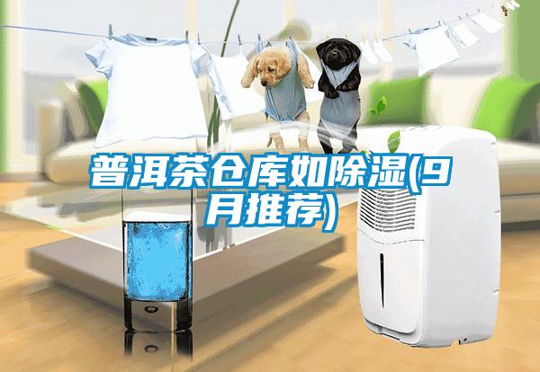 国产精品探花在线观看 普洱茶仓库如除湿(9月推荐)