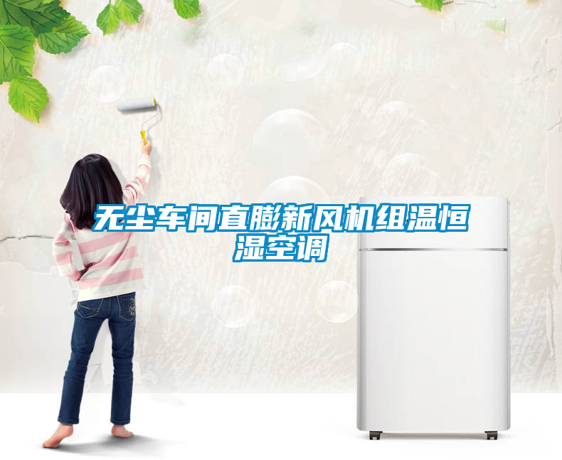 国产精品探花在线观看 无尘车间直膨新风机组温恒湿空调