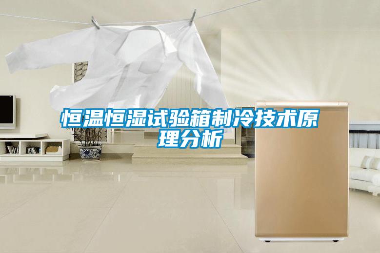 国产精品欧美激情视频 恒温恒湿试验箱制冷技术原理分析