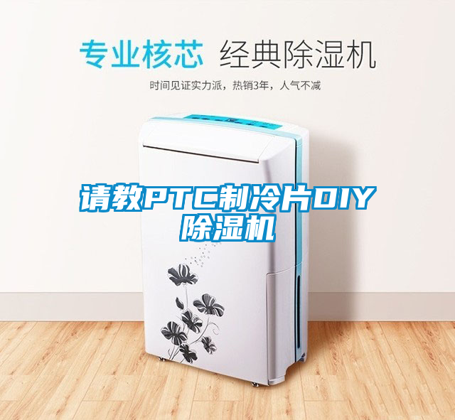 国产精品三级在线观看 请教PTC制冷片DIY除湿机