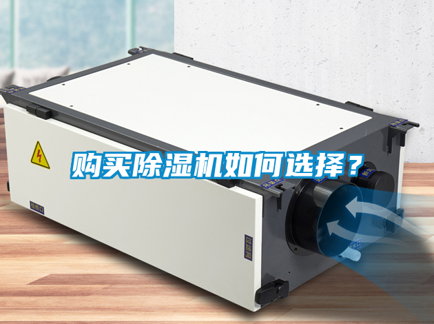 国产精品欧美激情视频 购买除湿机如何选择？