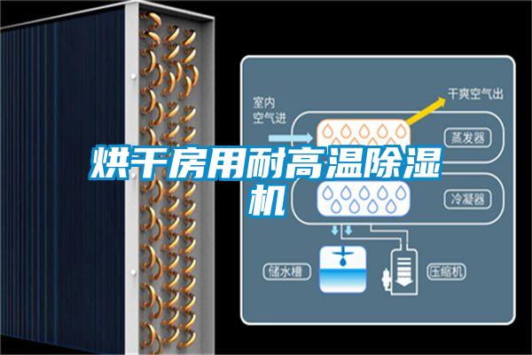 国产精品三级在线观看 烘干房用耐高温除湿机