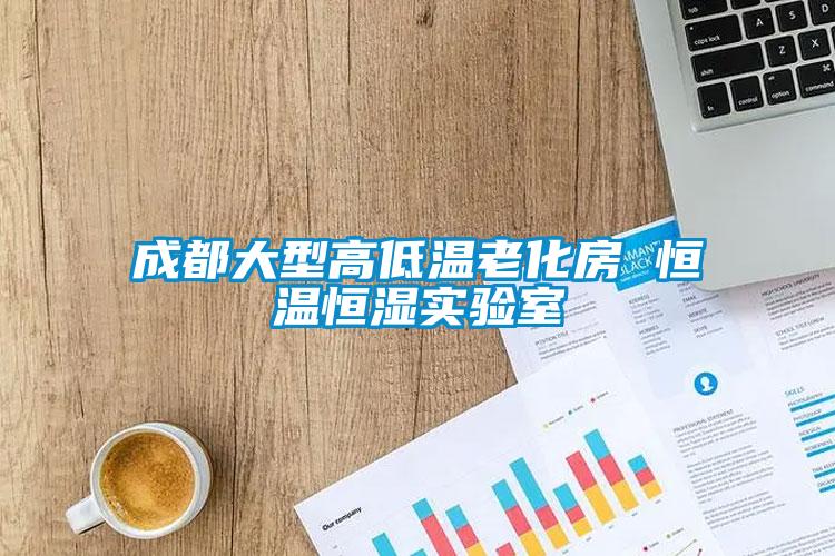 国产精品探花在线观看 成都大型高低温老化房 恒温恒湿实验室
