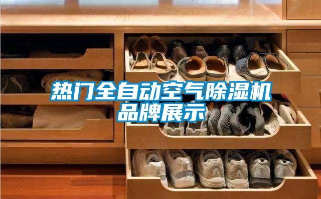 国产精品欧美激情视频 热门全自动空气除湿机品牌展示