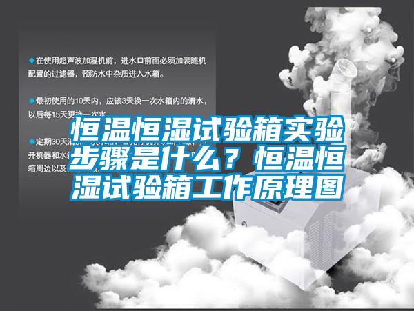 国产精品探花在线观看 恒温恒湿试验箱实验步骤是什么？恒温恒湿试验箱工作原理图