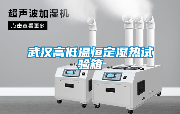 国产精品三级在线观看 武汉高低温恒定湿热试验箱