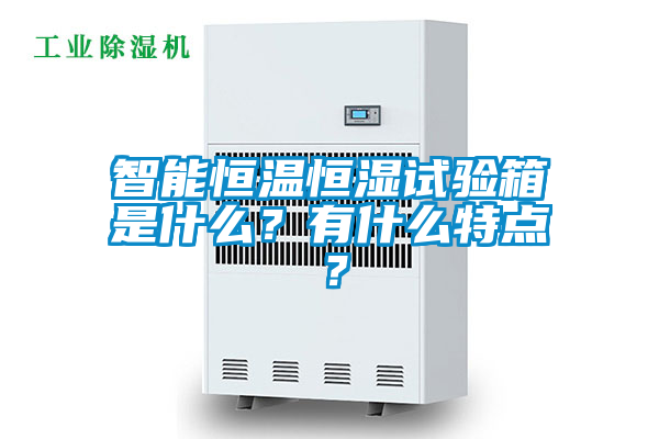 国产精品探花在线观看 智能恒温恒湿试验箱是什么？有什么特点？