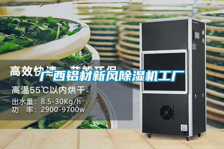国产精品欧美激情视频 广西铝材新风除湿机工厂