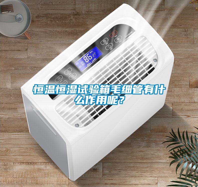 国产精品探花在线观看 恒温恒湿试验箱毛细管有什么作用呢？