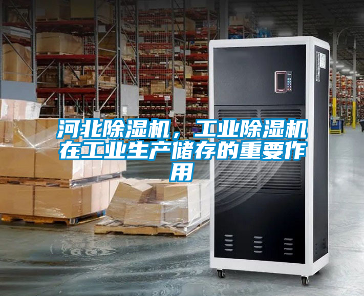 国产精品三级在线观看 河北除湿机，工业除湿机在工业生产储存的重要作用