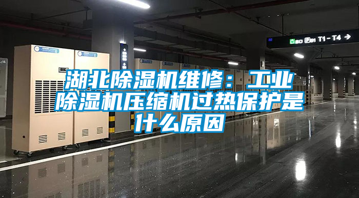 国产精品探花在线观看 湖北除湿机维修：工业除湿机压缩机过热保护是什么原因