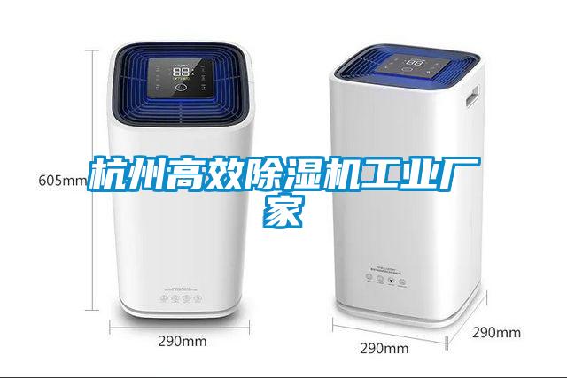 国产精品欧美激情视频 杭州高效除湿机工业厂家