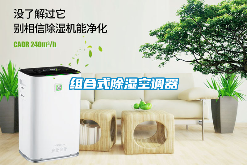 国产精品欧美激情视频 组合式除湿空调器