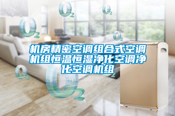 国产精品欧美激情视频 机房精密空调组合式空调机组恒温恒湿净化空调净化空调机组